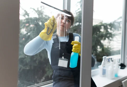 Nettoyage de vitres intérieures et extérieures à Saint-Pierre-Lafeuille